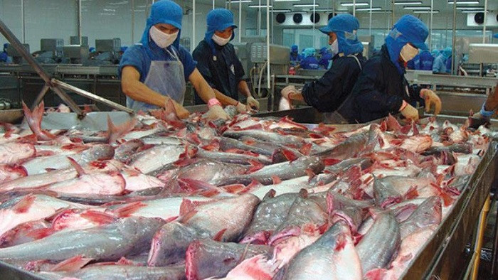 Giá cá tra sụt giảm, Vĩnh Hoàn (VHC) báo lãi quý I/2020 chỉ bằng 1/2 cùng kỳ