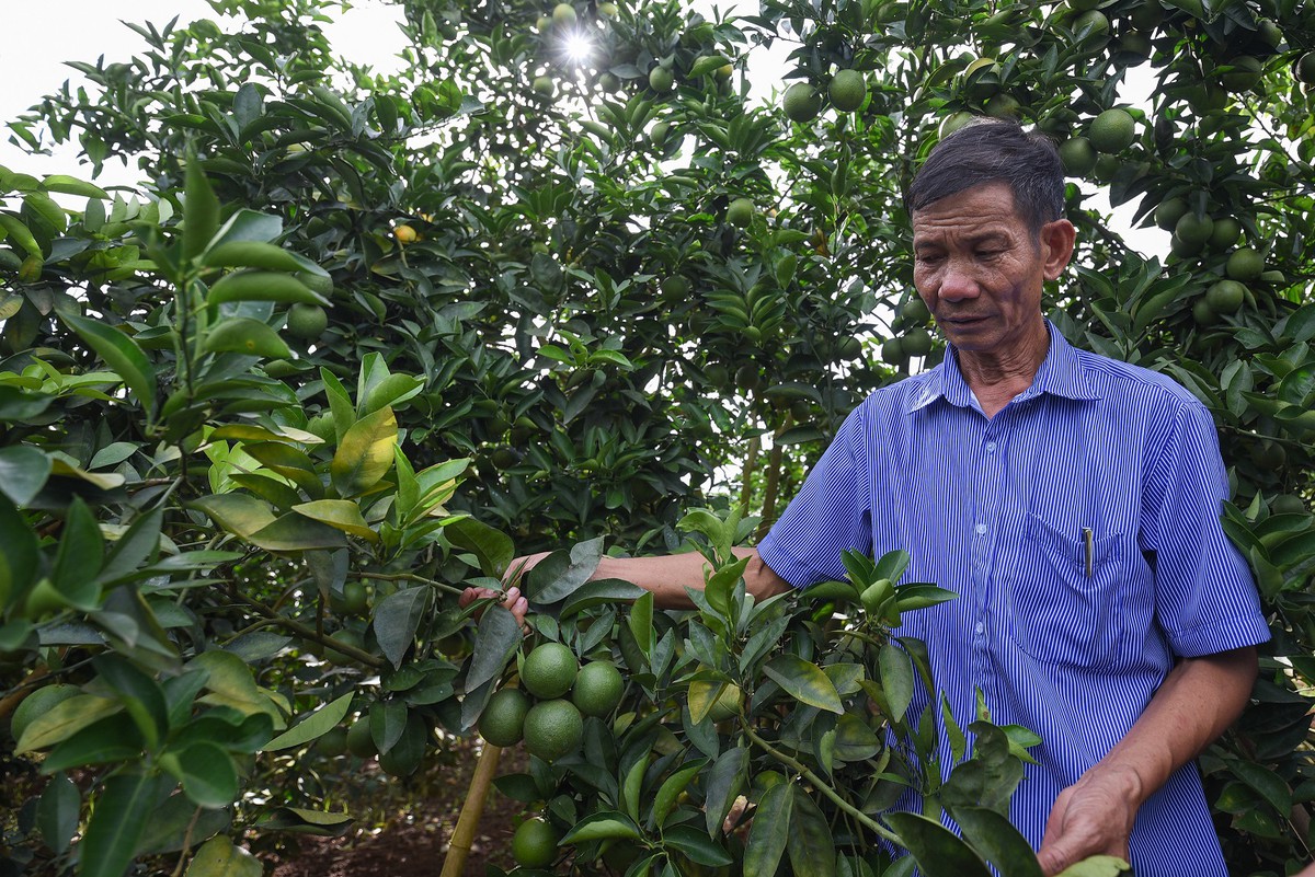 Nhà máy chế biến hoa quả tươi 3.500 tỷ: Ước mơ nhiều năm của nông dân Sơn La đang thành hiện thực