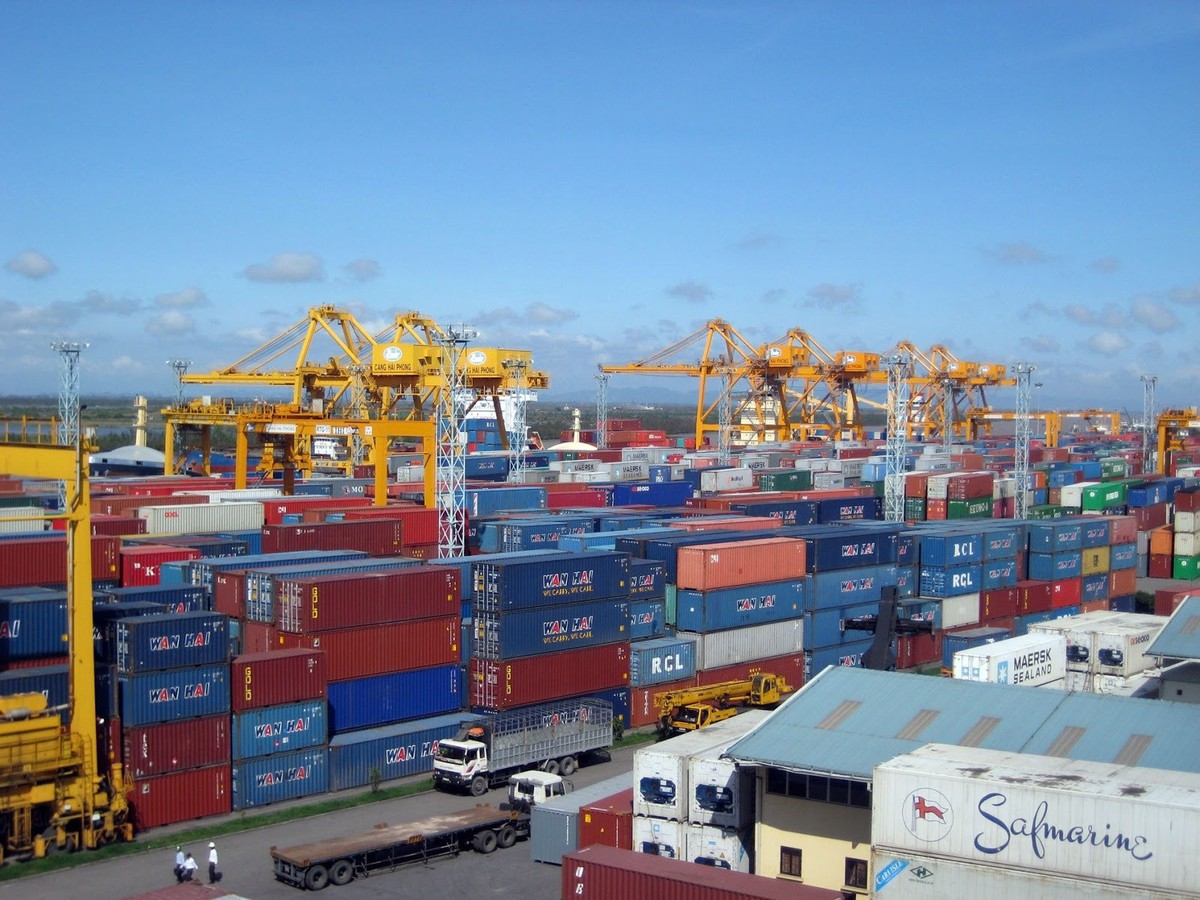 Tân cảng Sài Gòn bán đấu giá gần 300 vỏ container rỗng