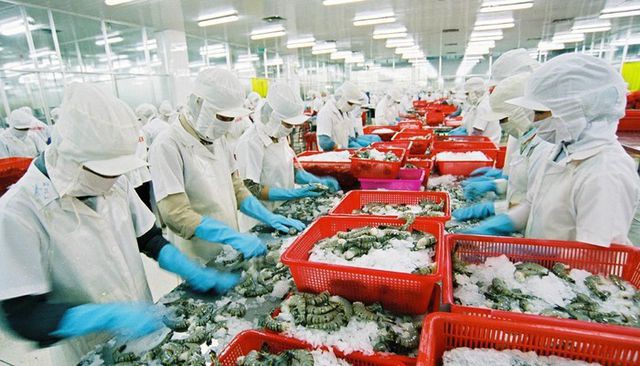 Nhật Bản tiếp tục dẫn đầu tiêu thụ thủy sản Việt Nam