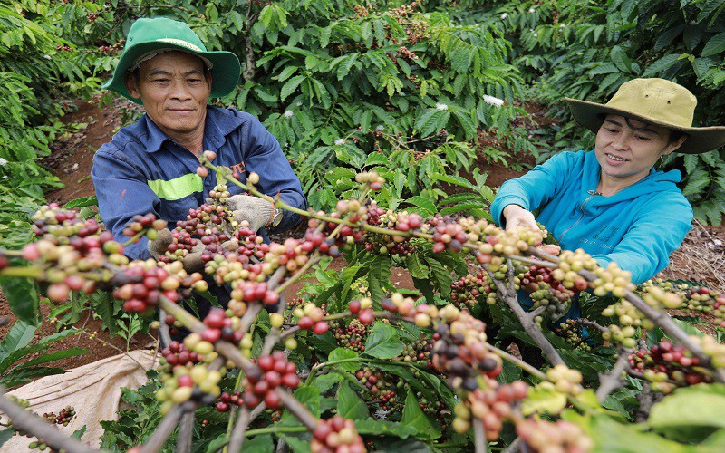 Cơ hội lớn để xuất khẩu văn hóa cà phê của Việt Nam ra thị trường thế giới 